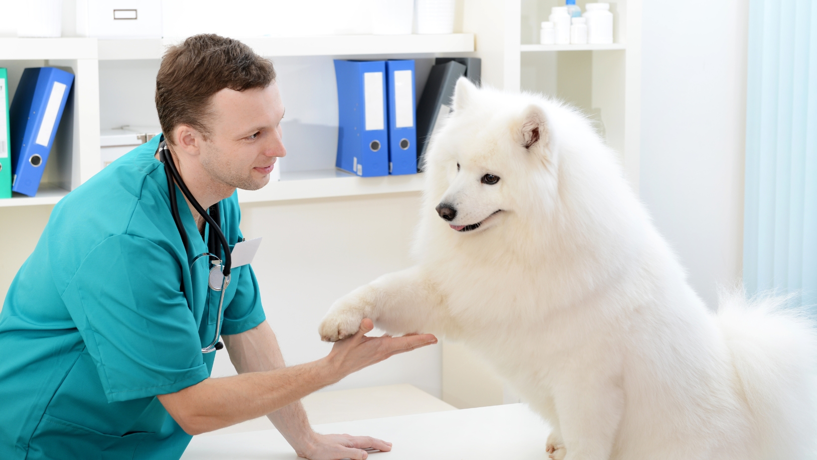 Doctor and Canine Patient Shake Hands
